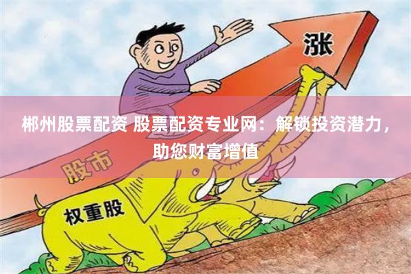 郴州股票配资 股票配资专业网：解锁投资潜力，助您财富增值