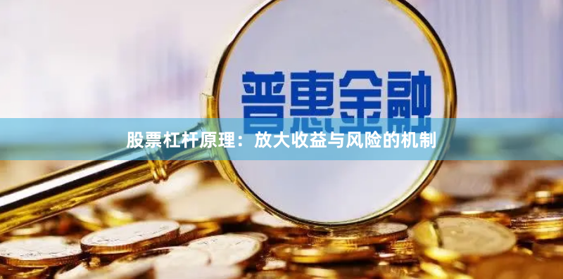股票杠杆原理：放大收益与风险的机制